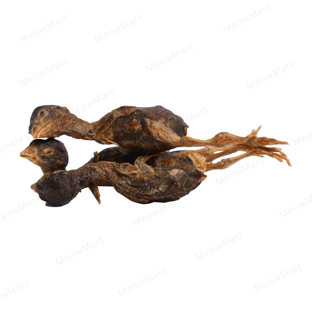 Absolute Bites 凍乾鵪鶉 (貓用) 25g