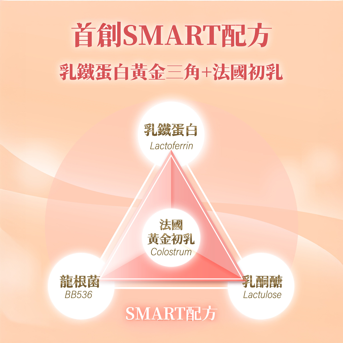 【太陽星】全效乳鐵蛋白六盒組(3g*30包*6盒)