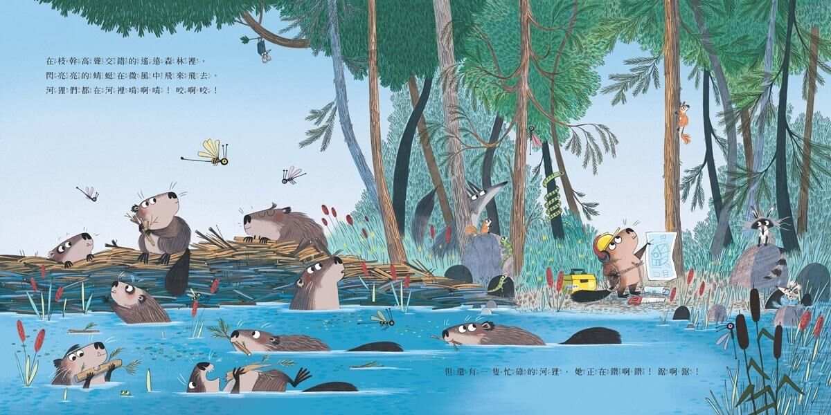 最忙碌的河狸
