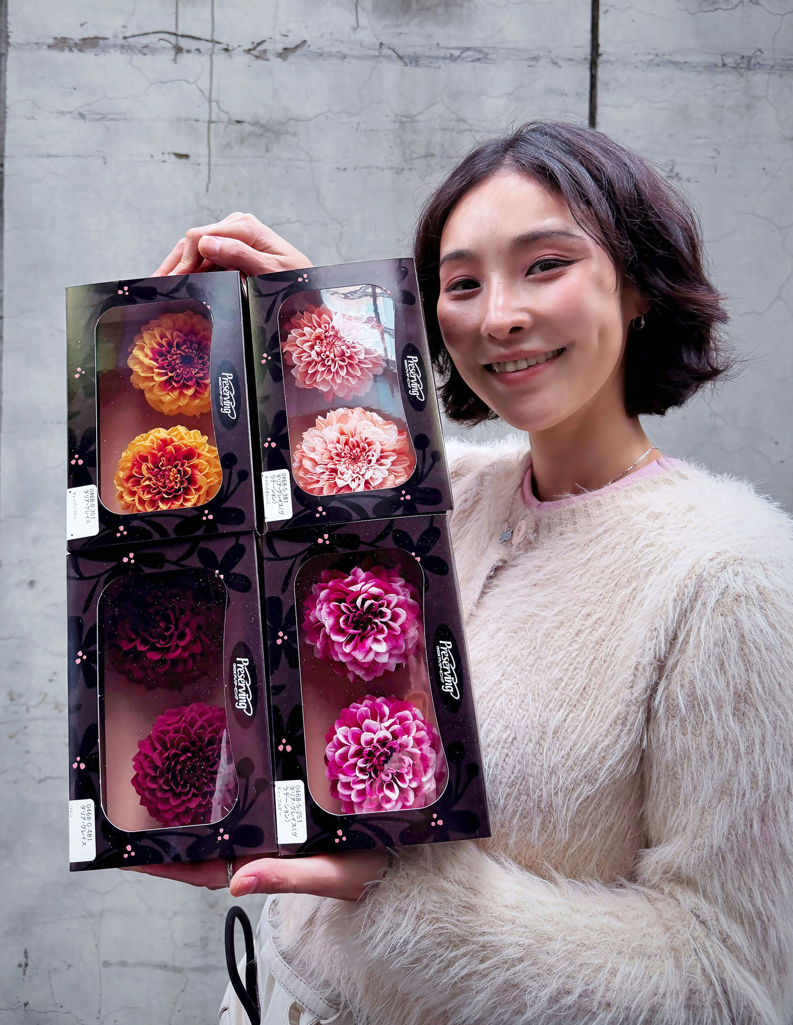 日本永生大理花（多色）