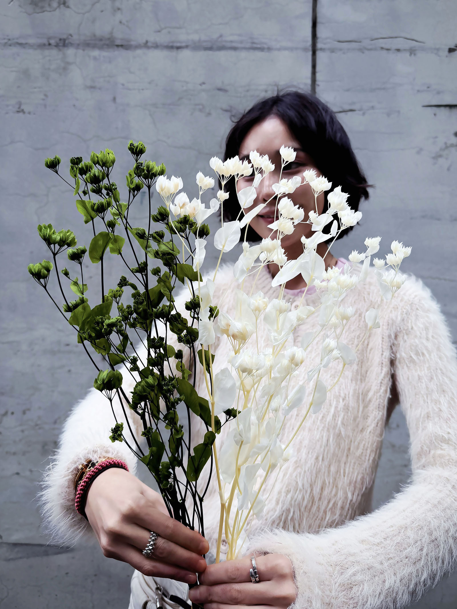 日本永生金翠花、柴胡葉