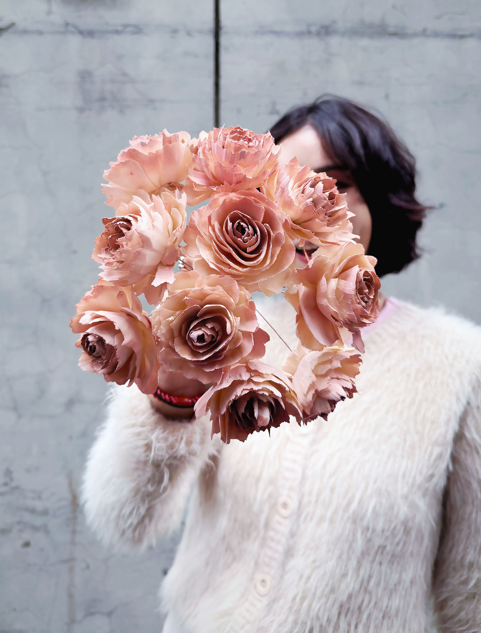 乾燥大波斯玫瑰索拉