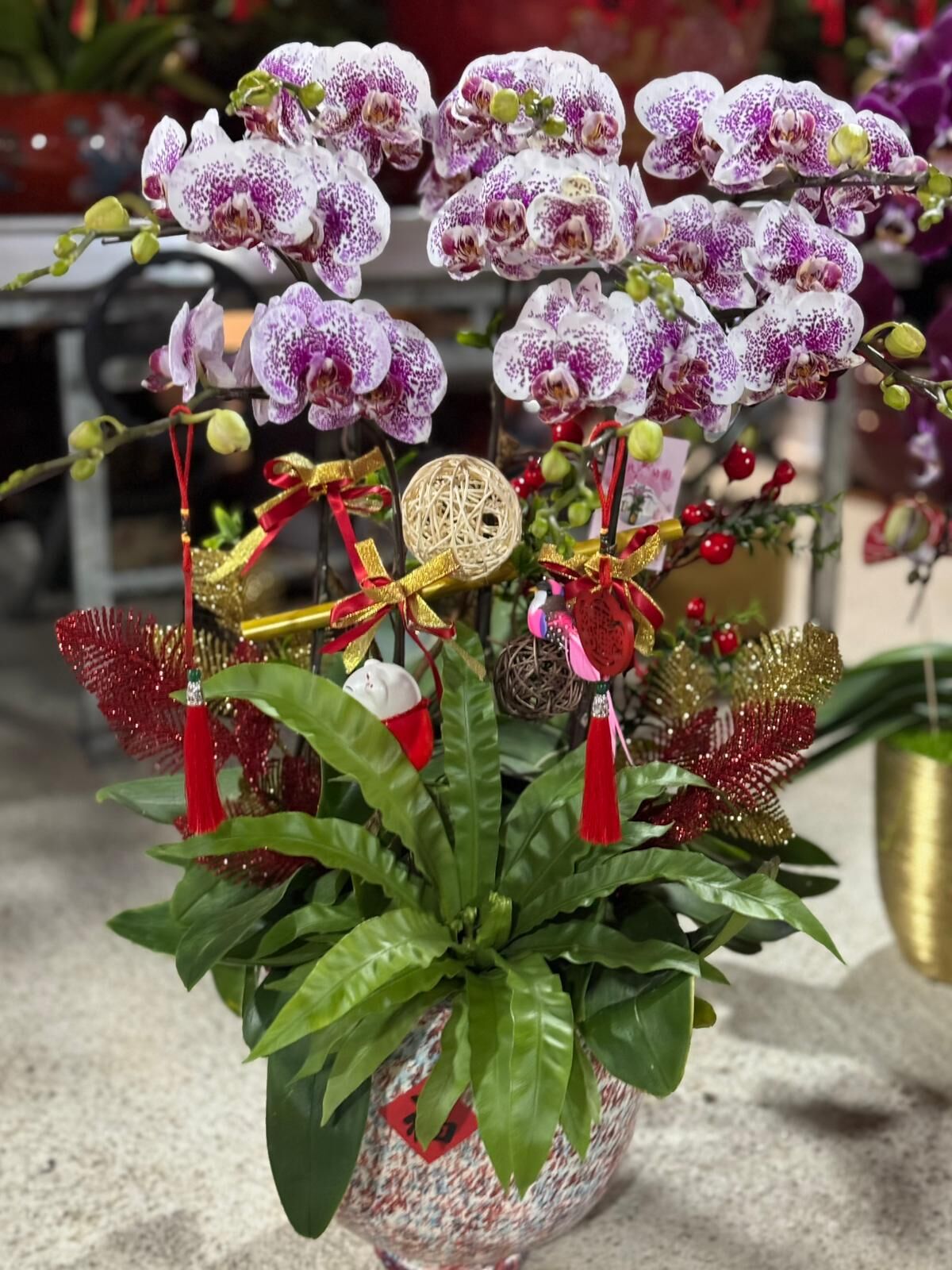 （6413）濃晴楓葉 8菖