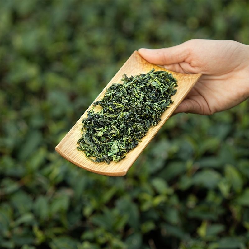 预购 自家茶特级铁观音批发2025新茶浓香型清香型鲜爽型茶叶罐装 250g'