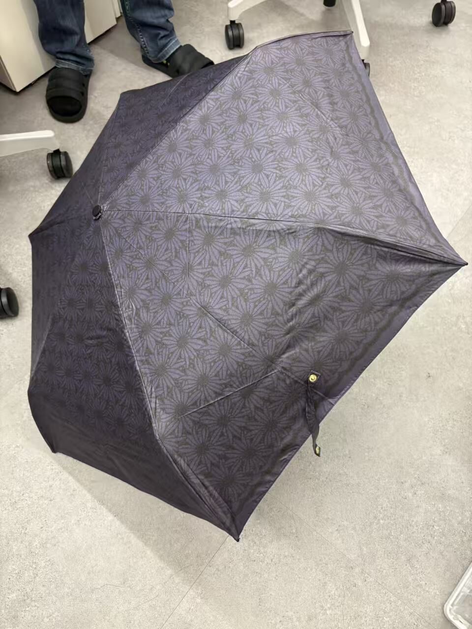 【直播】LX012724 SUGITA 日本製 自動開閞縮骨傘