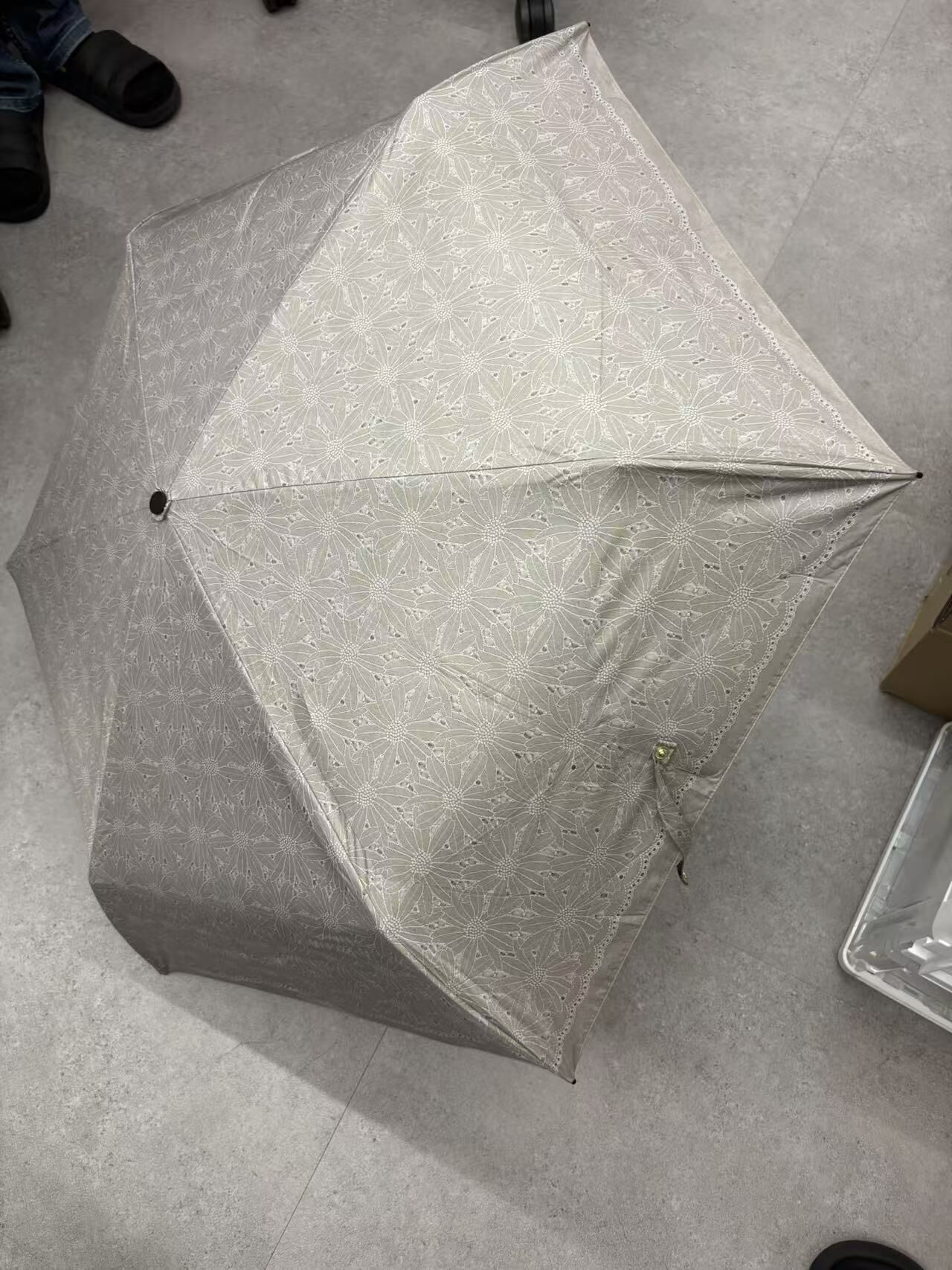 【直播】LX012724 SUGITA 日本製 自動開閞縮骨傘