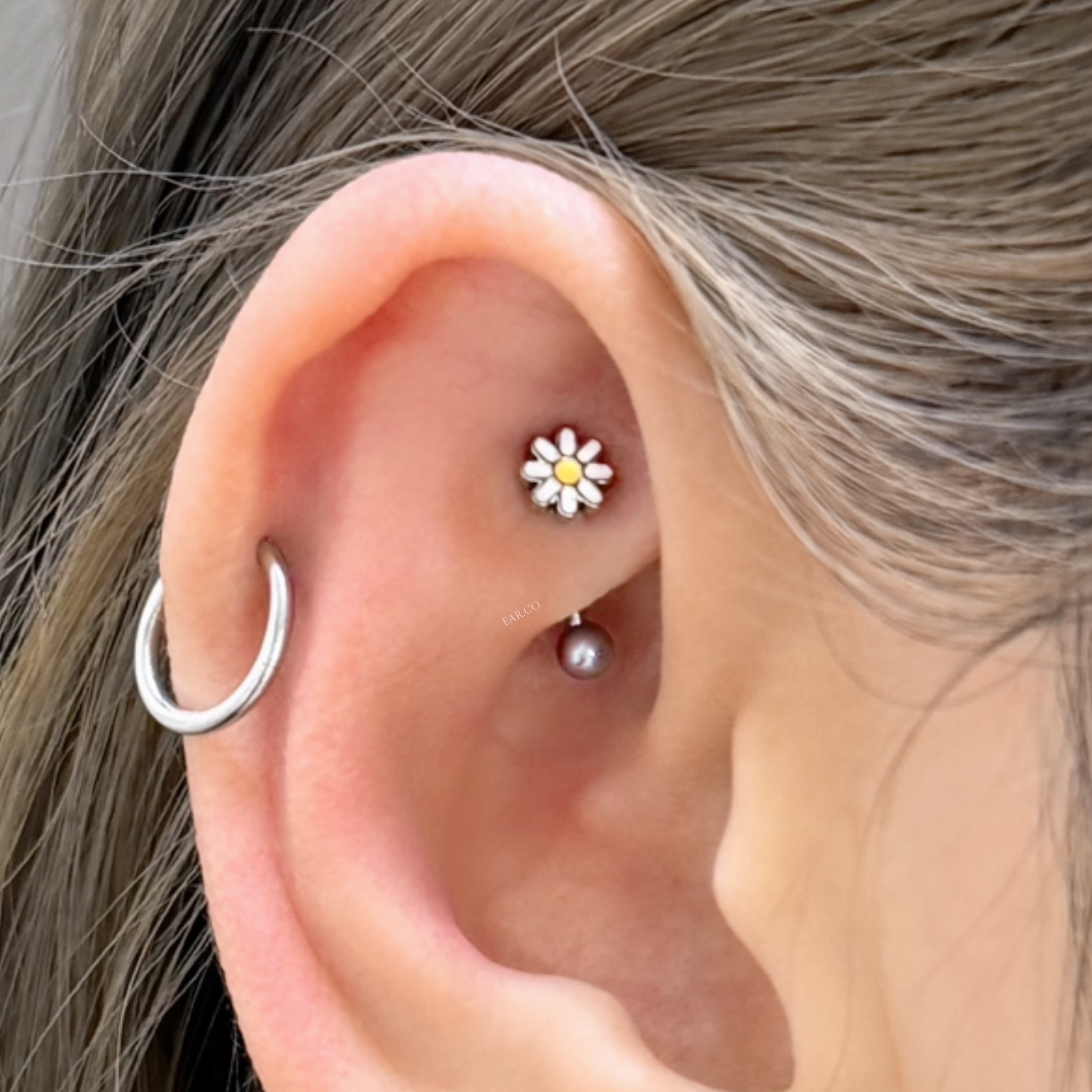 小秋菊彎針耳環 [G23 Titanium]