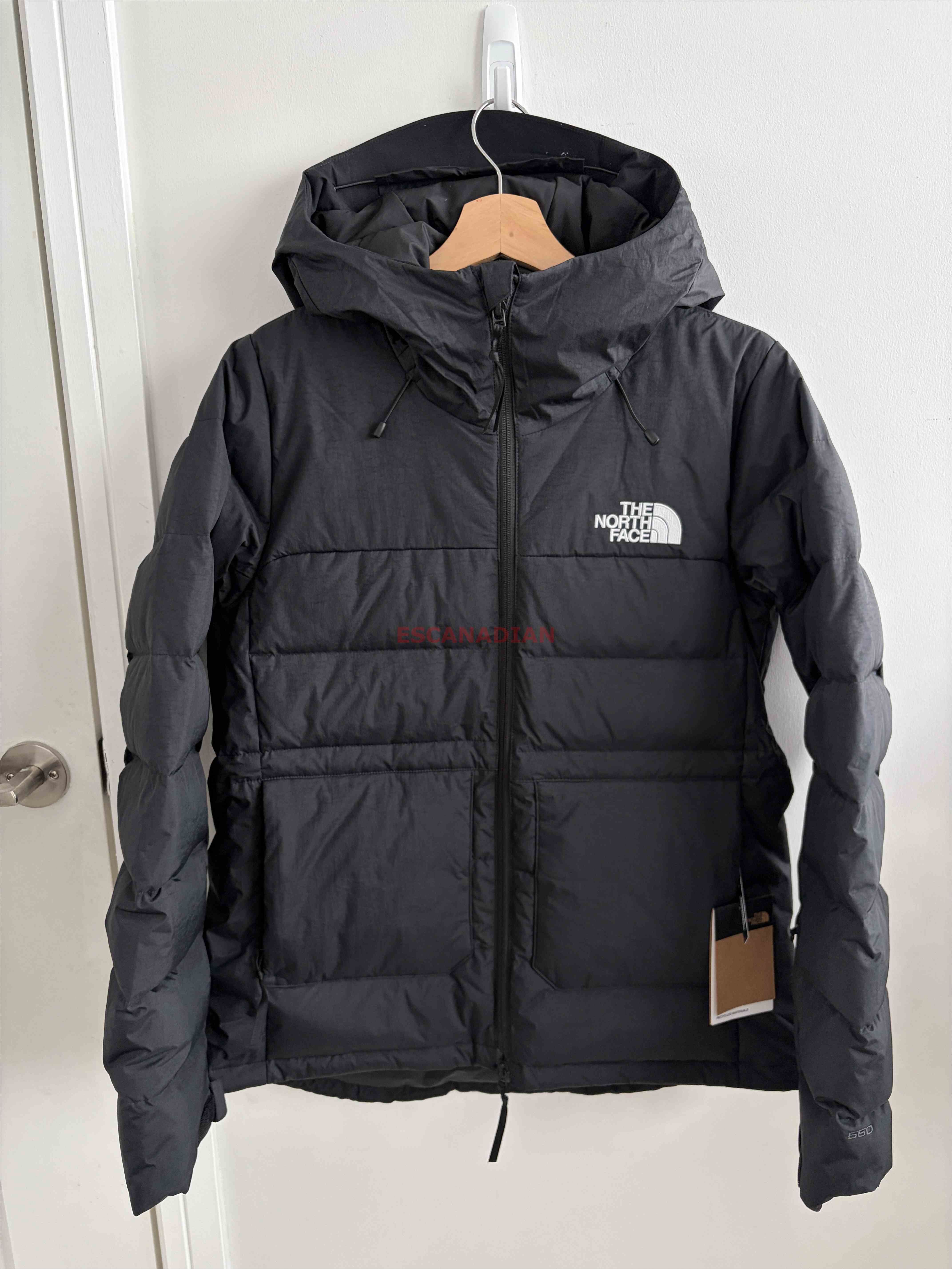 THE NORTH FACE 女大人 550蓬鬆羽絨 雪衣級 防水 防風 硬挺面料 正反刺繡標 外套 (可當滑雪外套)