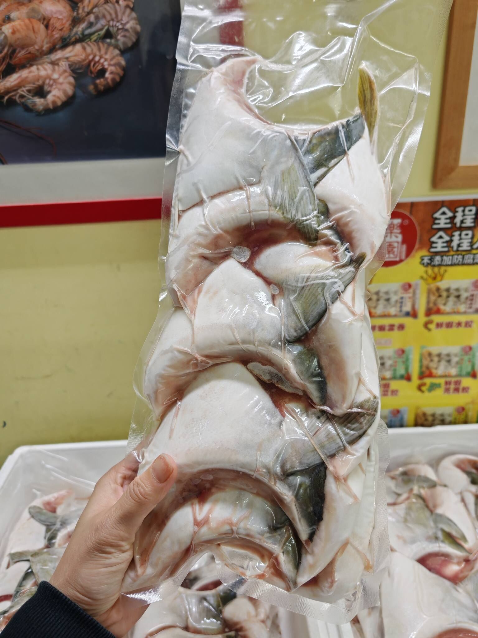 3月優惠-日本三重縣黃鰭油甘魚鮫（連腩位）