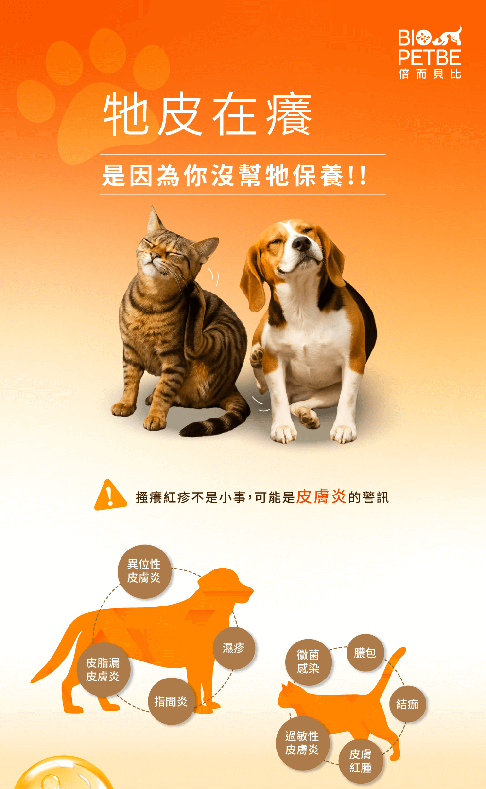 皮膚問題影響全身健康,搔癢、掉毛、皮屑、紅腫、異味、皮膚乾裂、細菌滋生