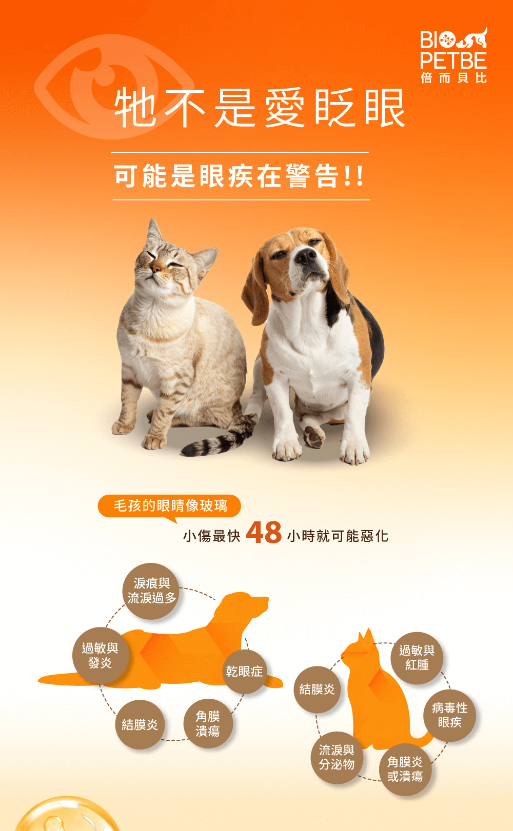 牠不是愛眨眼﹐可能是眼疾在警告!!毛孩眼睛像玻璃﹐小傷最快48小時可能惡化