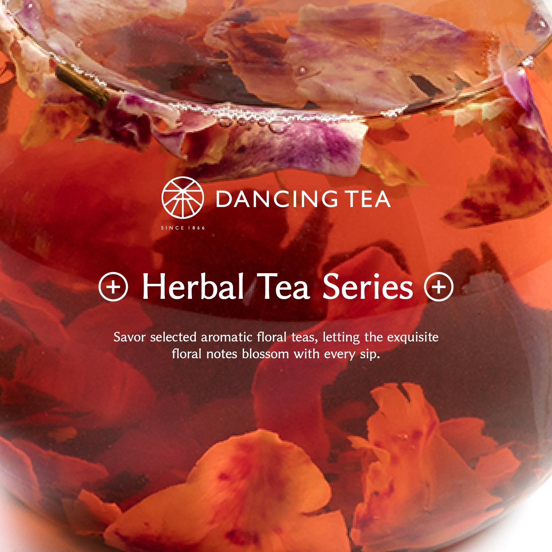 Pomelo Jin Xuan Tea - Whole Leaf Pyramid Tea Bags