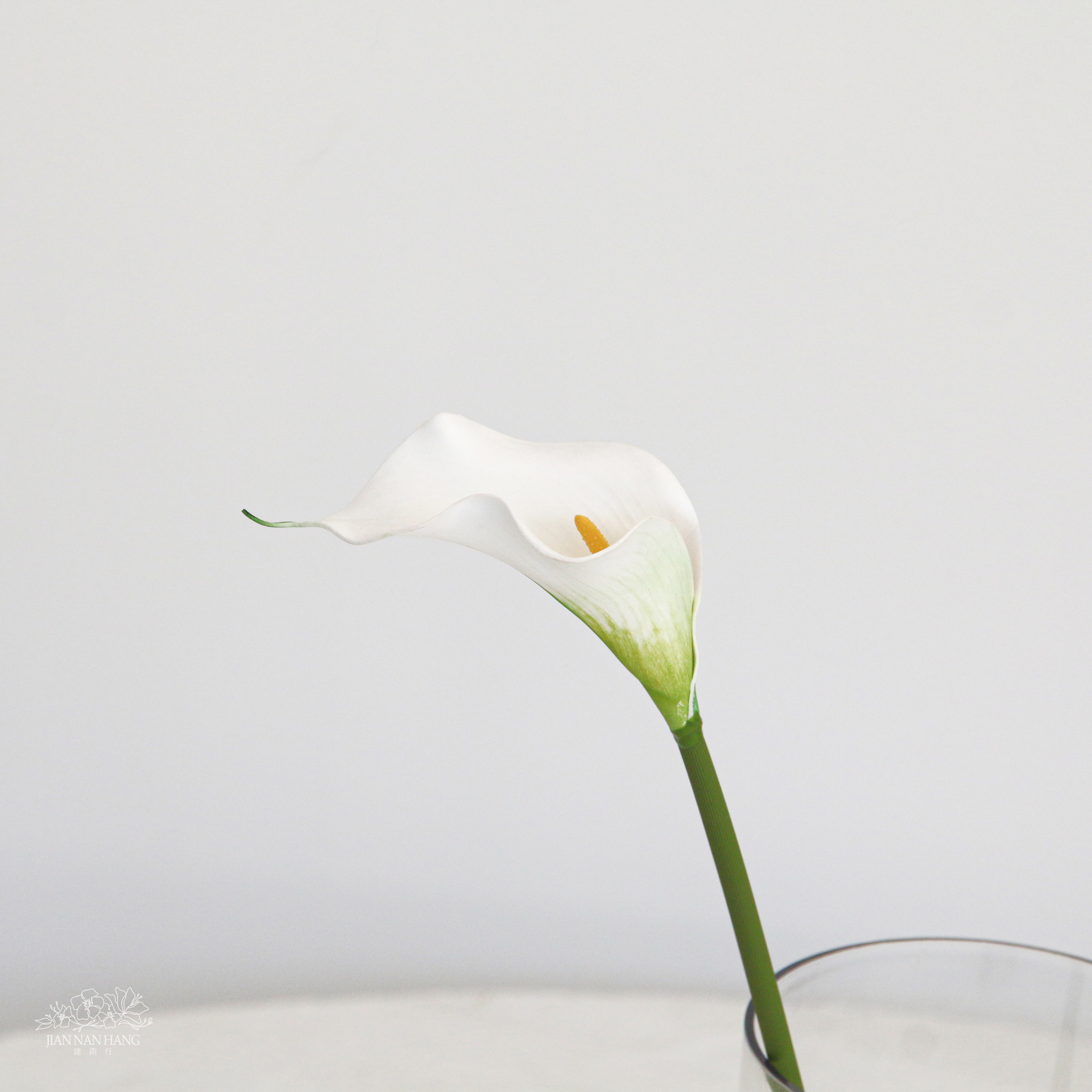 人造花 單瓣馬蹄蓮  白