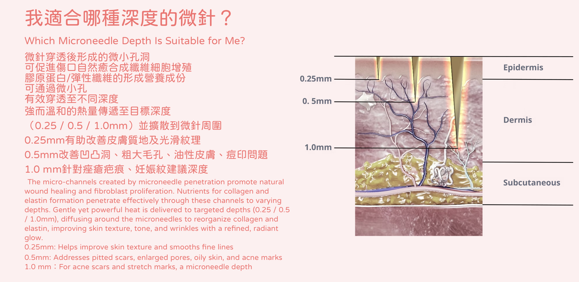 滾動微針 RTHERMA