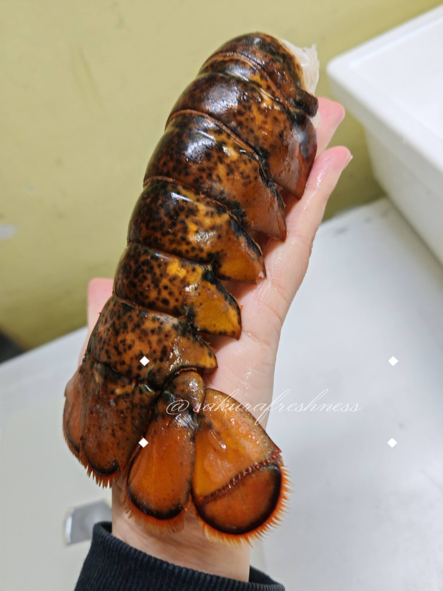 3月優惠-加拿大Lsize野生龍蝦尾（5-6oz）