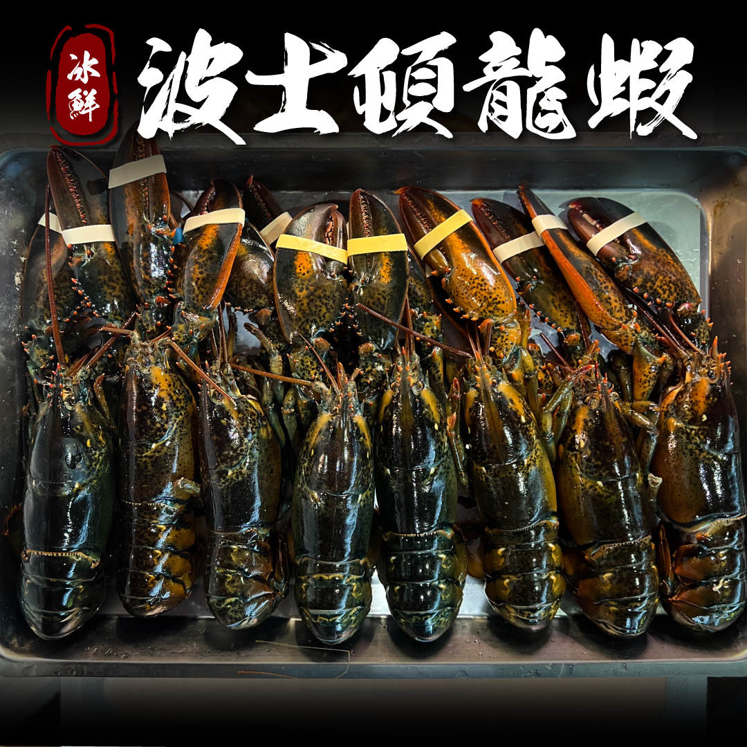 【整隻冷凍寄出】冰鮮波士頓龍蝦，2隻$999
