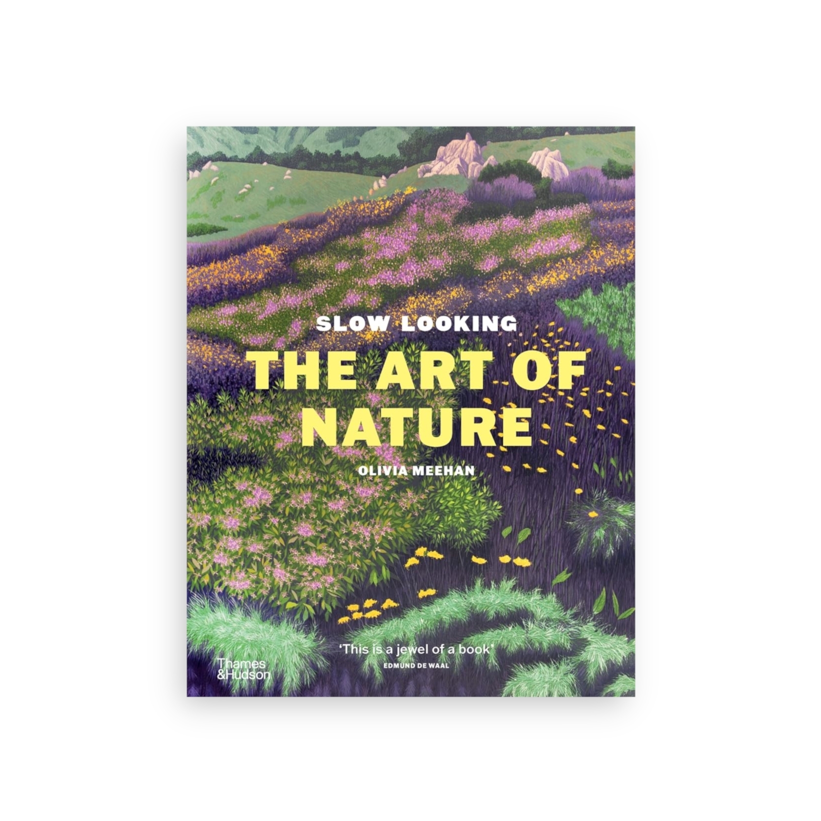 Slow Looking The Art of Nature