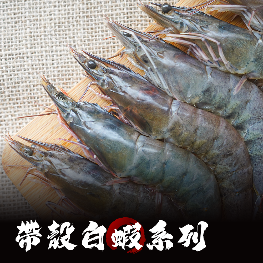 帶殼白蝦 / 蝦子｜龍王 20/30・30/40・13/15・16/20