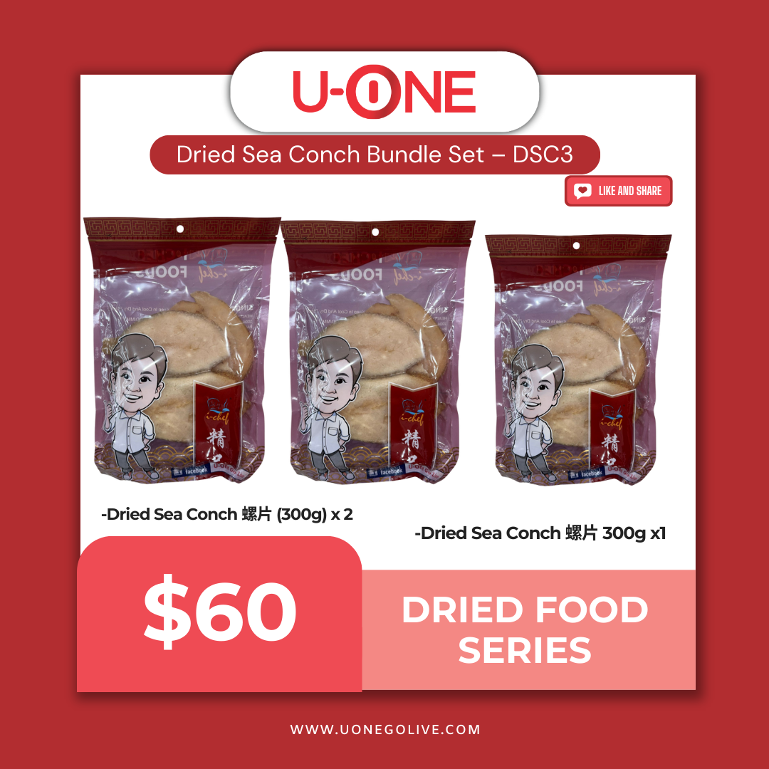 Dried Sea Conch Bundle Set – DSC3
