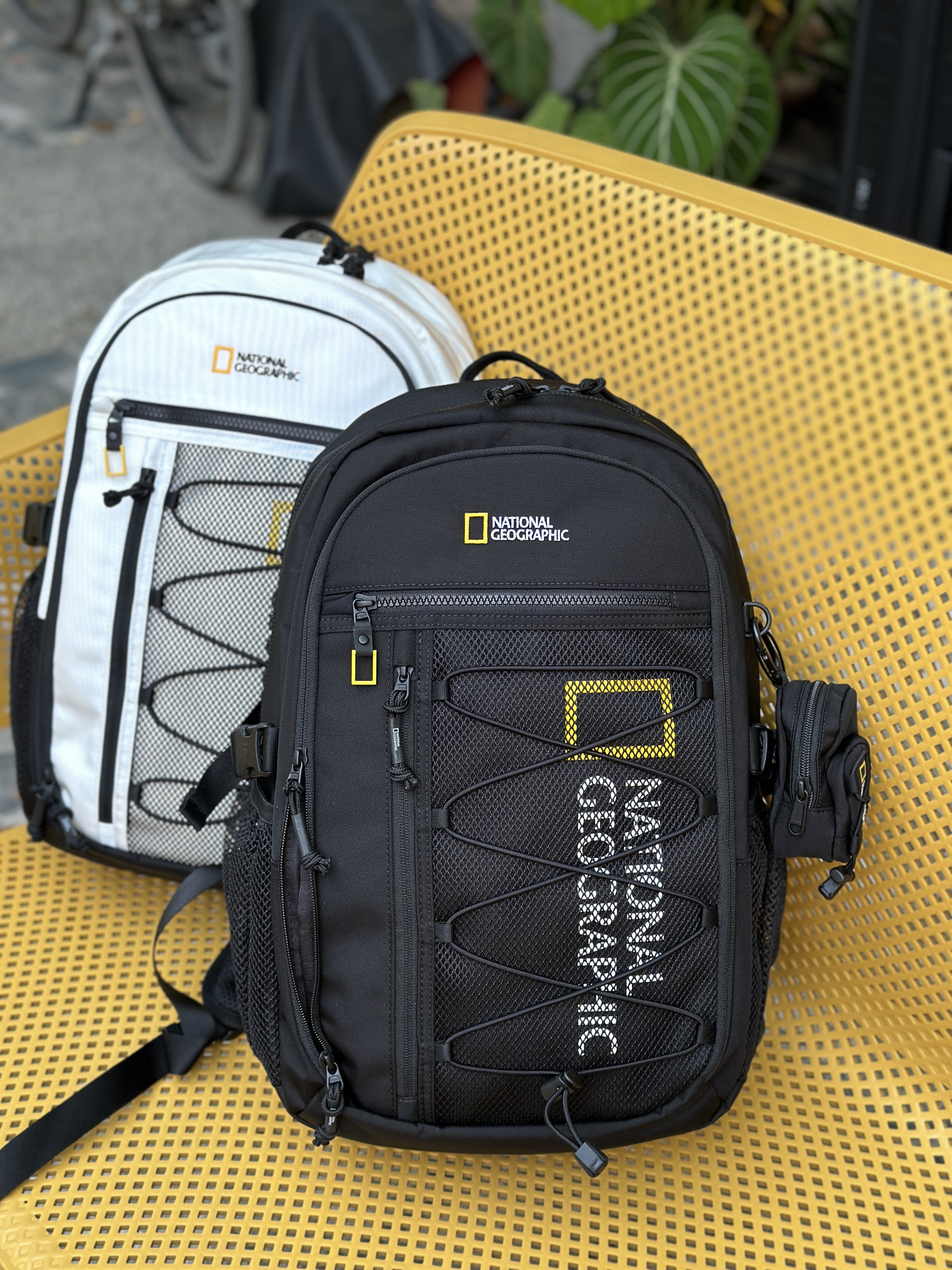 【現貨】NATIONAL GEOGRAPAHIC 國家地理 Buddy 小款 後背包 23L N261ABG040