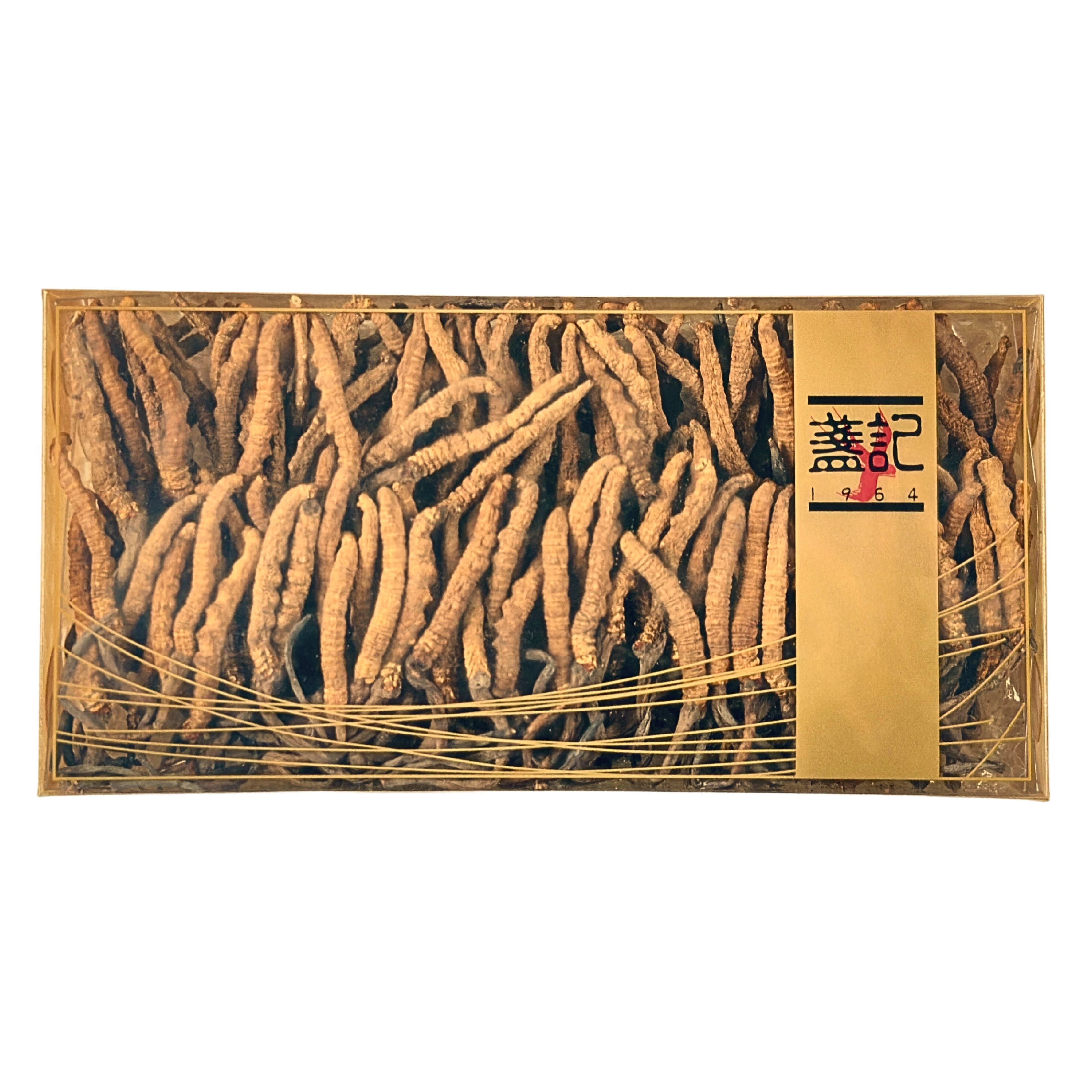 西藏那曲冬蟲夏草 (約140-160條) (1両裝)