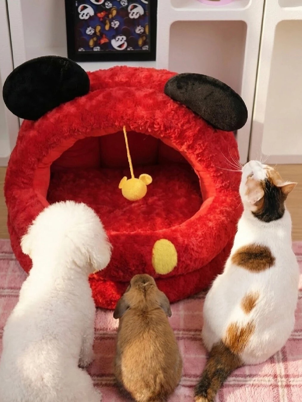 米奇主題 寵物窩