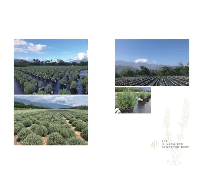 打造永續共好生態圈：來自創業、創新與社會行動者的20則行動觀點"下單贈財富滾珠精油2ml"