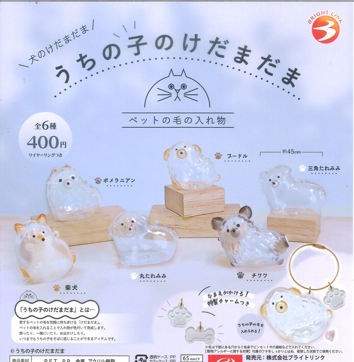 【現貨】Kedama Studio 透明狗毛儲存盒掛飾扭蛋(全6種)