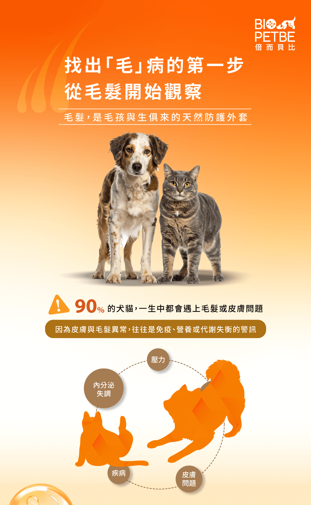 皮膚與毛髮異常，往往是免疫、營養或代謝失衡的警訊。內分泌失調、壓力、皮膚問題、疾病