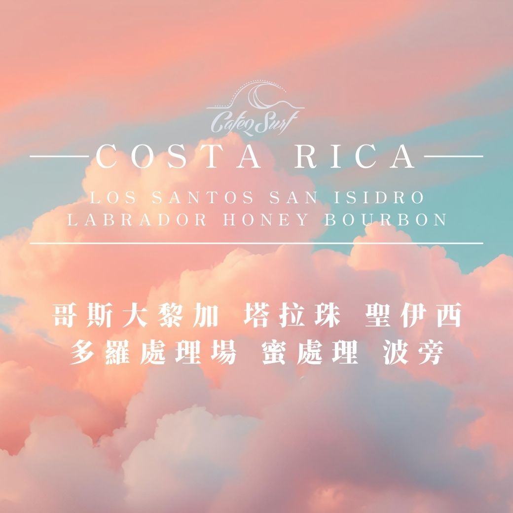 新年限定 雙蜜組｜哥斯大黎加 蜜處理＋紅蜜｜半磅裝二入特惠