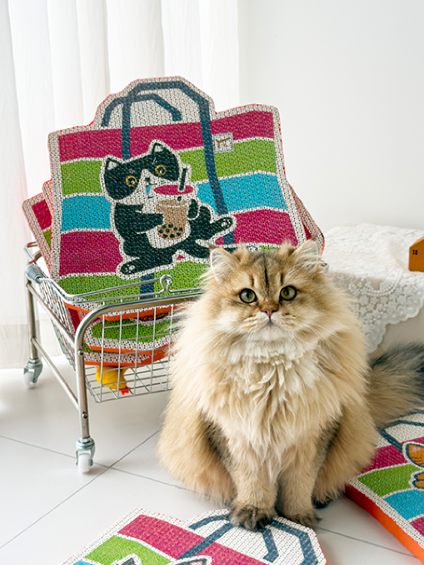 厚呷小吃雙面貓抓板-珍奶