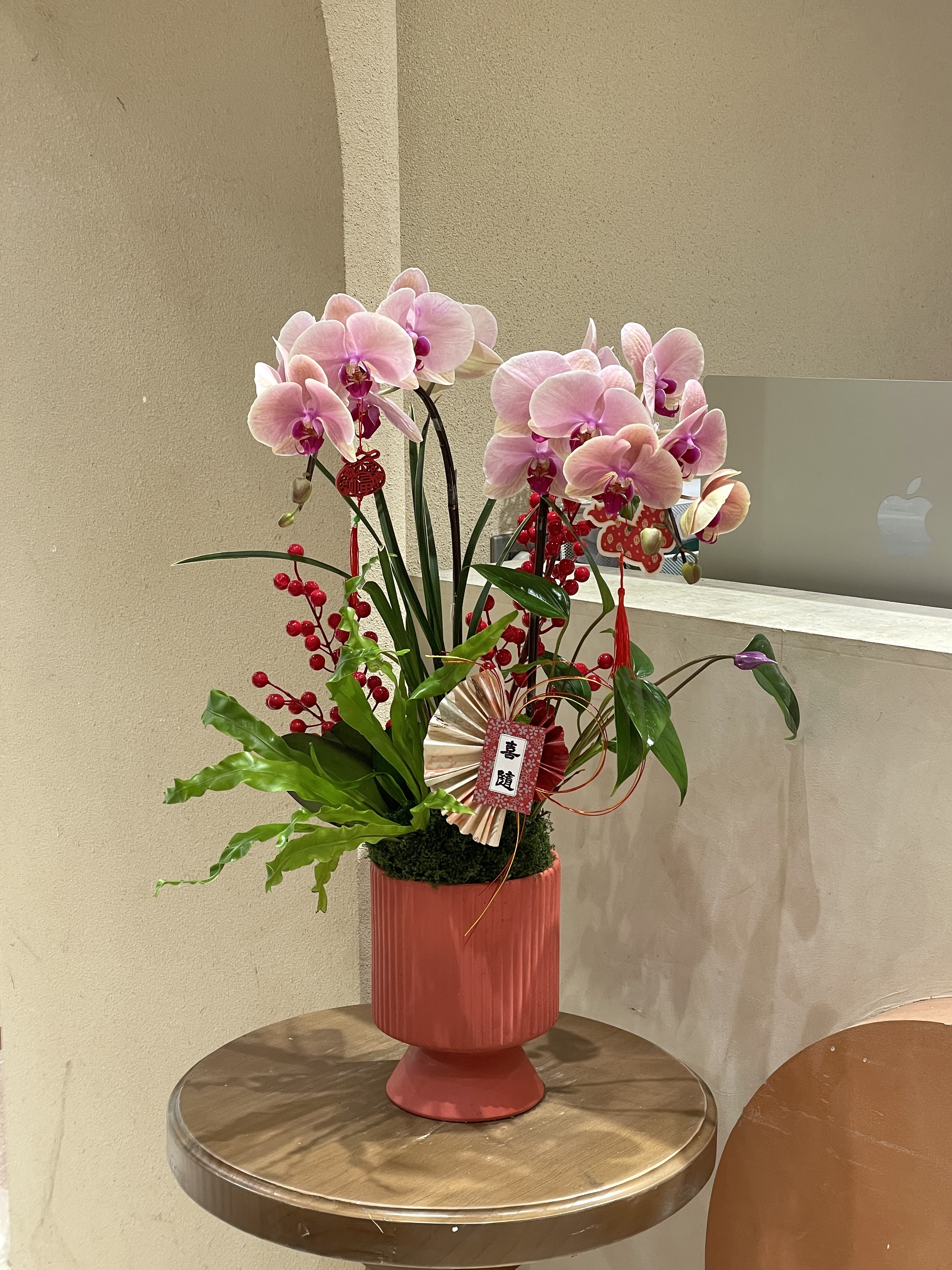 新年蘭花 馬年18