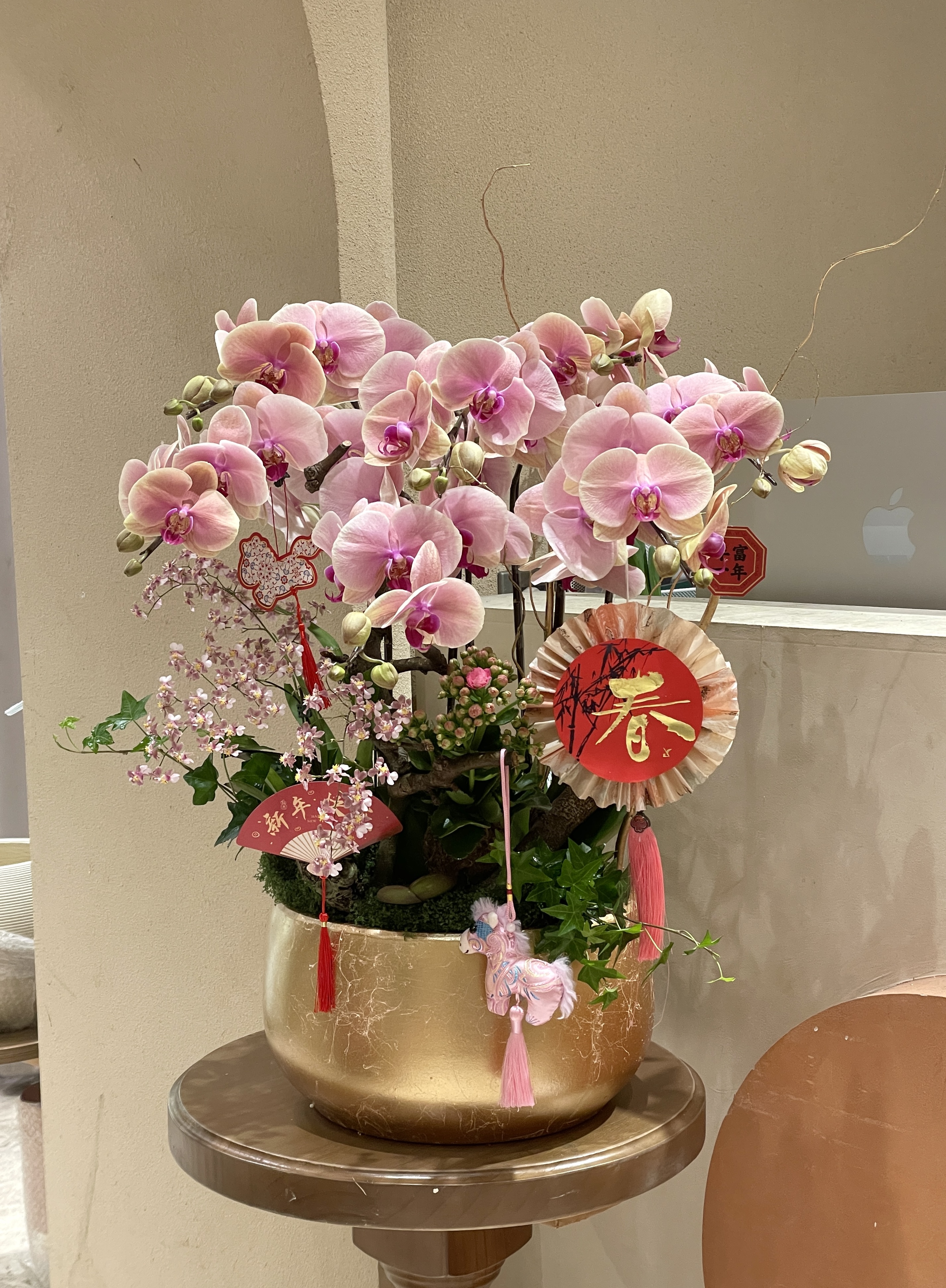 新年蘭花 馬年19