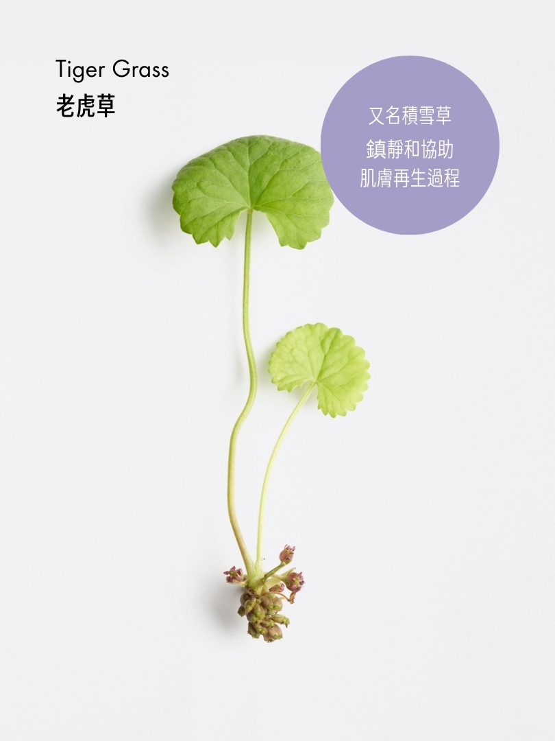 透明質酸水潤修護液