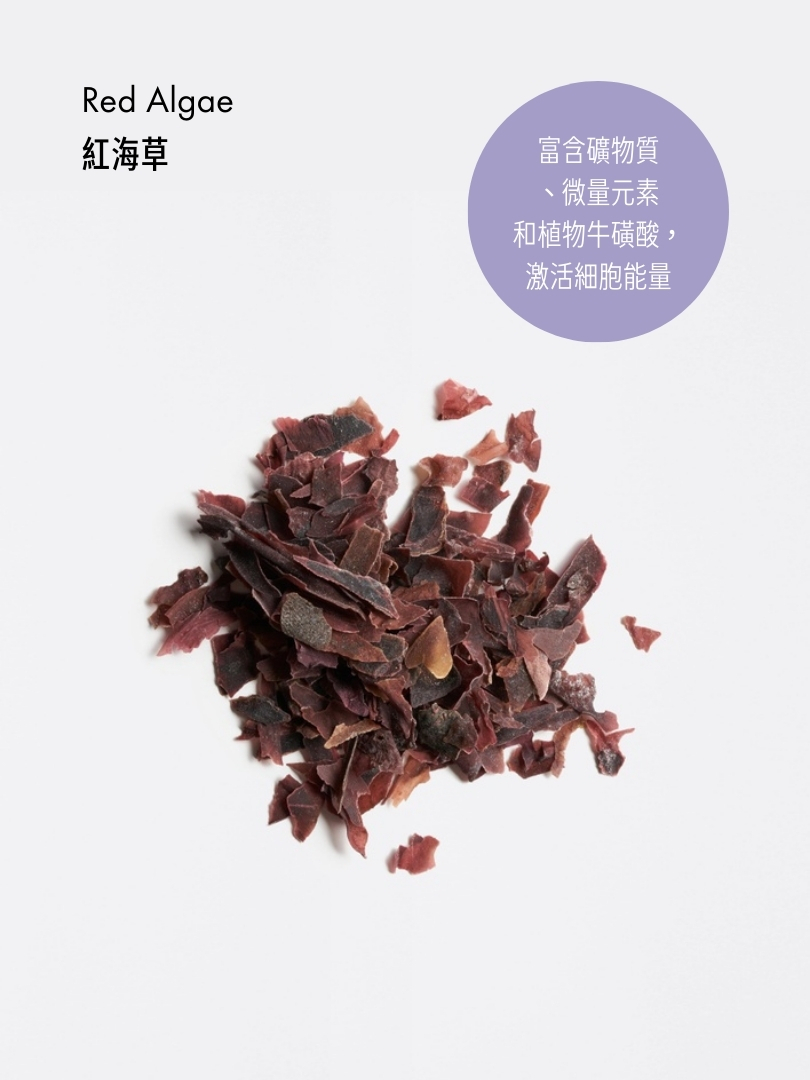 珊瑚藻煥膚保濕精華乳霜