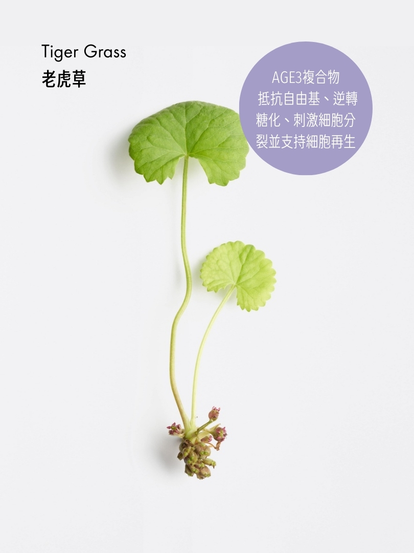 AGE3 逆轉日霜 (旅行裝)