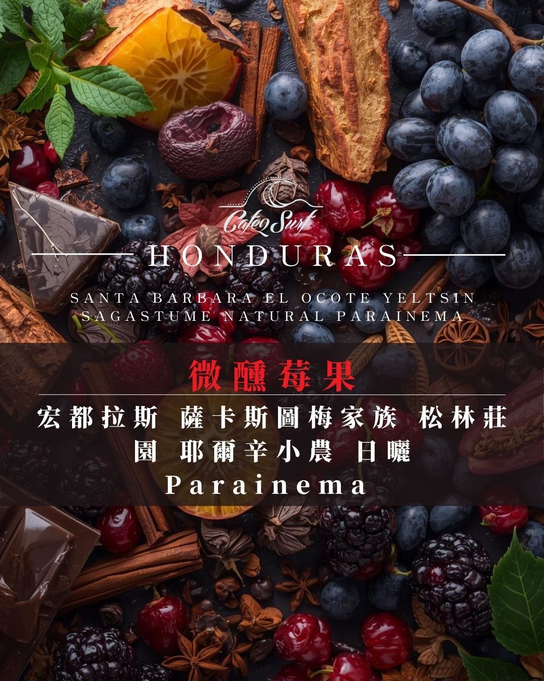 微醺莓果｜宏都拉斯 薩卡斯圖梅家族 松林莊園 耶爾辛小農 日曬 Parainema﹙半磅裝／227g﹚