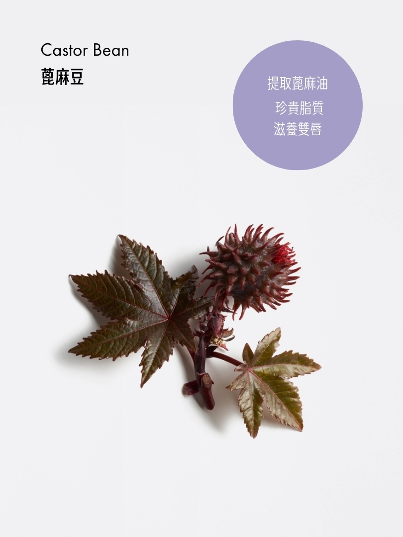 AGE3 豐盈順滑護唇霜