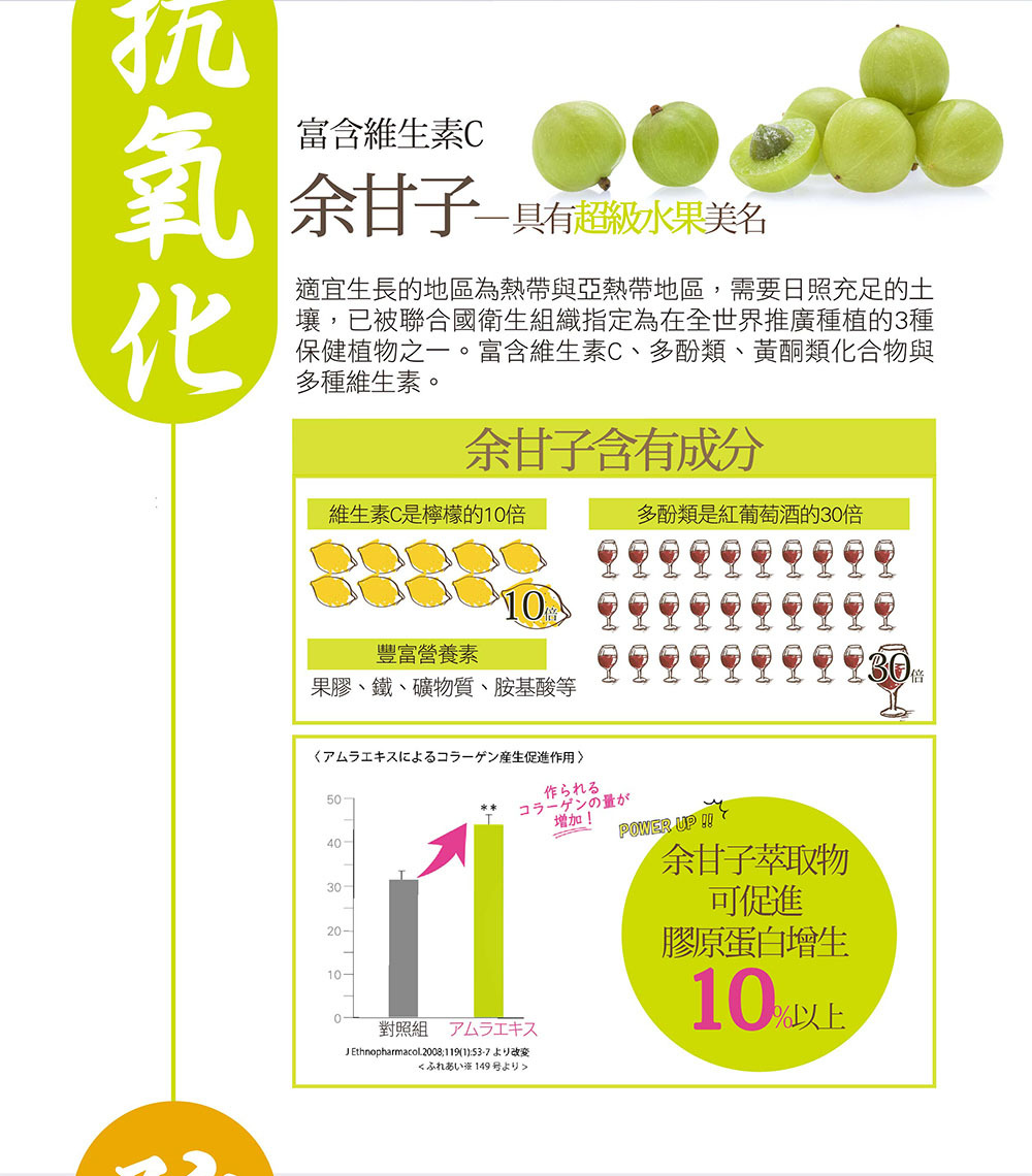 IKOR日本醫珂 御光皙C 商品說明5