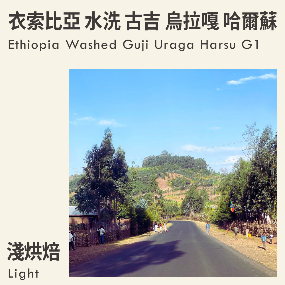 衣索比亞 水洗 古吉 烏拉嘎 哈爾蘇 G1