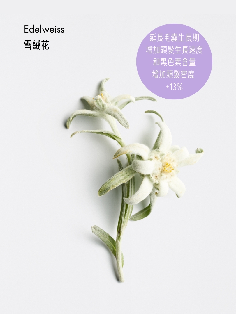 賦活防脫生髮洗髮露