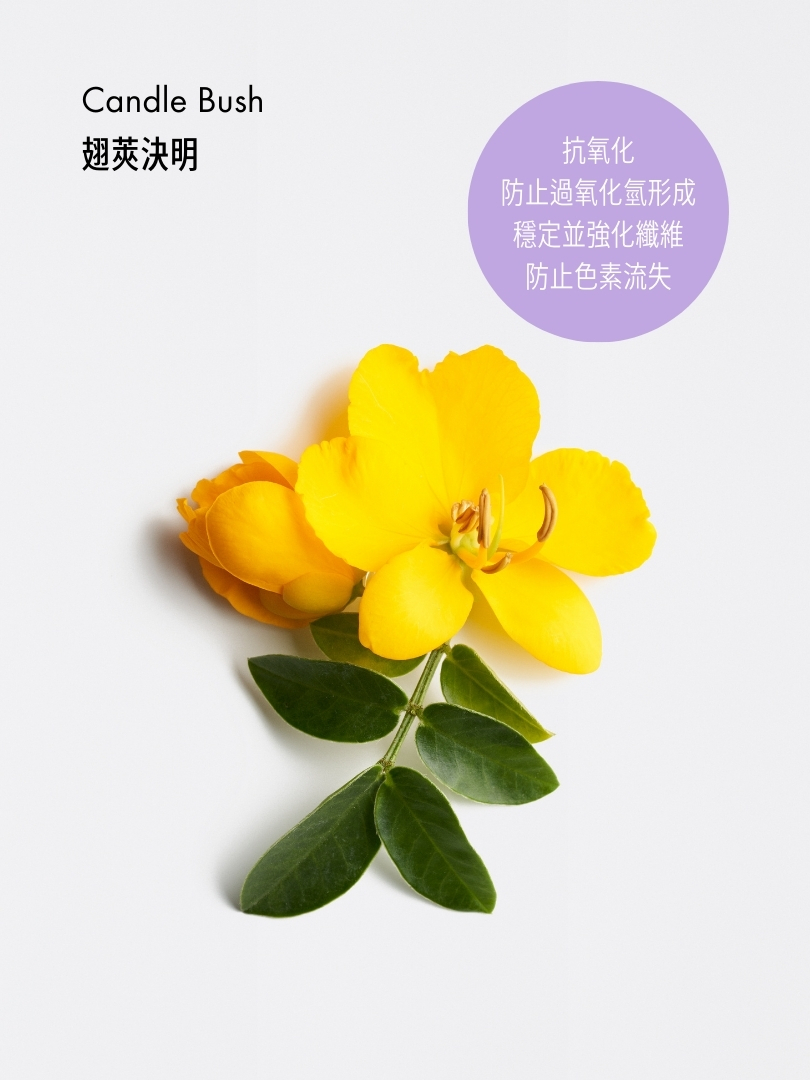 賦活防白髮精華
