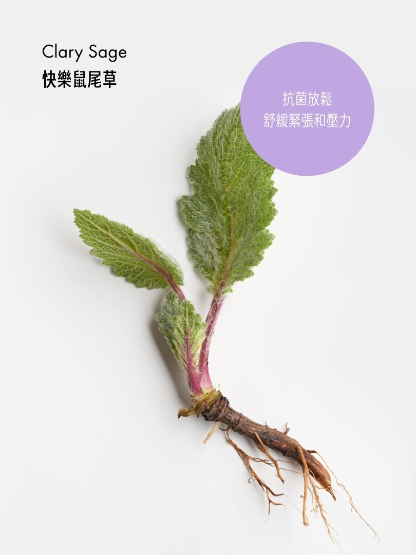 強髮複芳香薰油