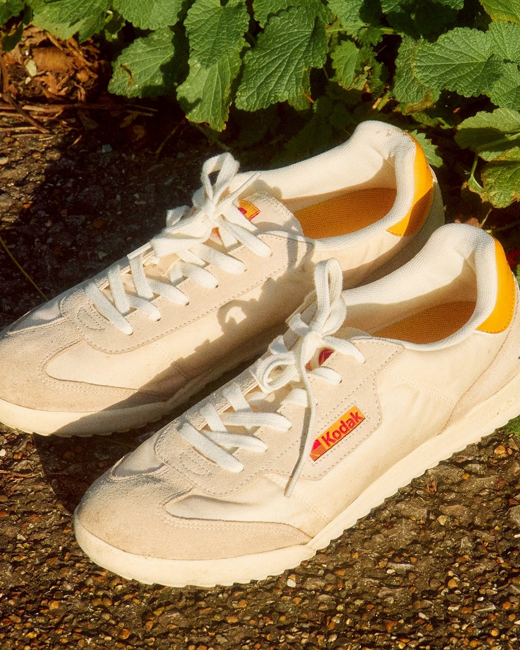 韓國 Kodak 柯達 復古休閒運動鞋 -3款