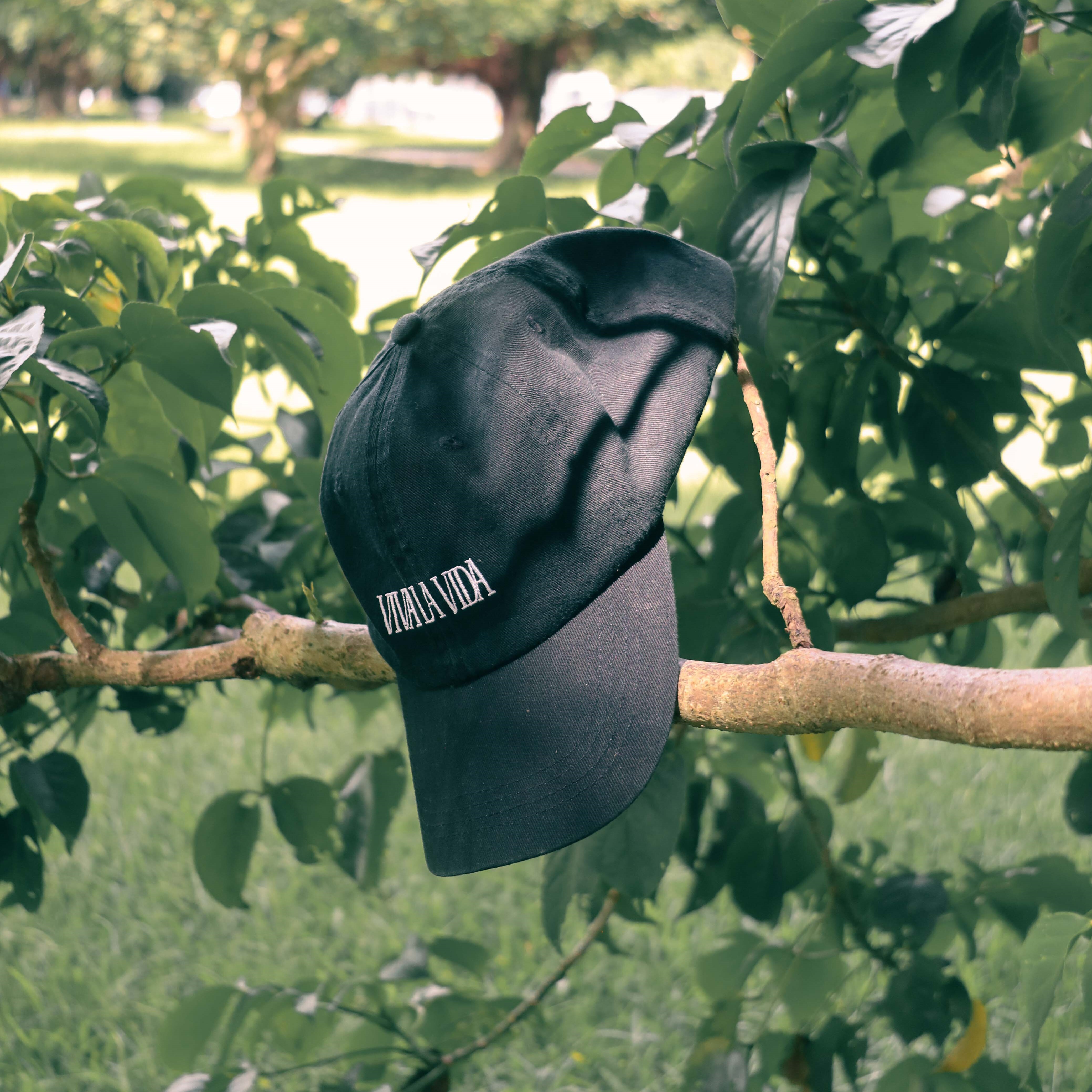 Viva Land VIVA 老帽