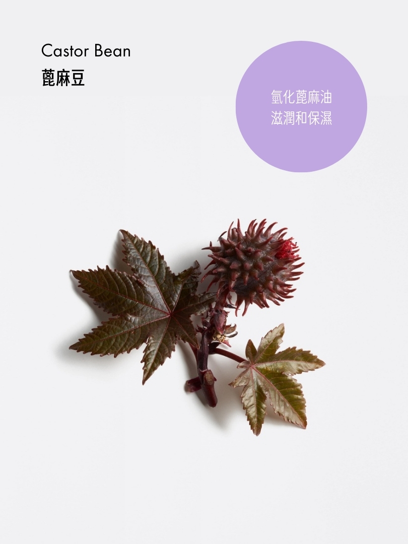 光采再生潔面霜