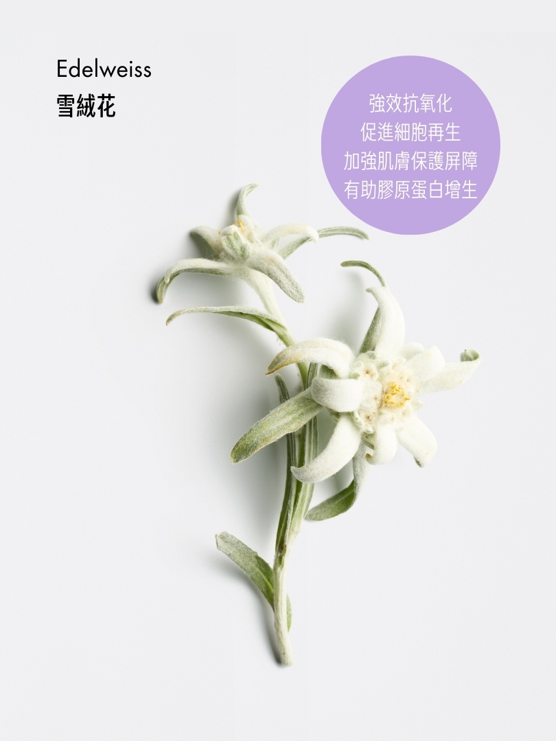 光采再生滋潤面霜