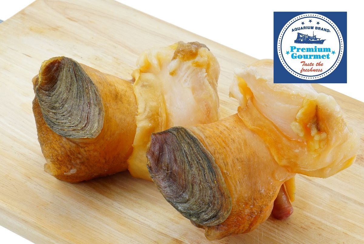 UQ002 美國大西洋鮮響螺 (L碼) 2磅 急凍 -18度 EXP: 2年或以上