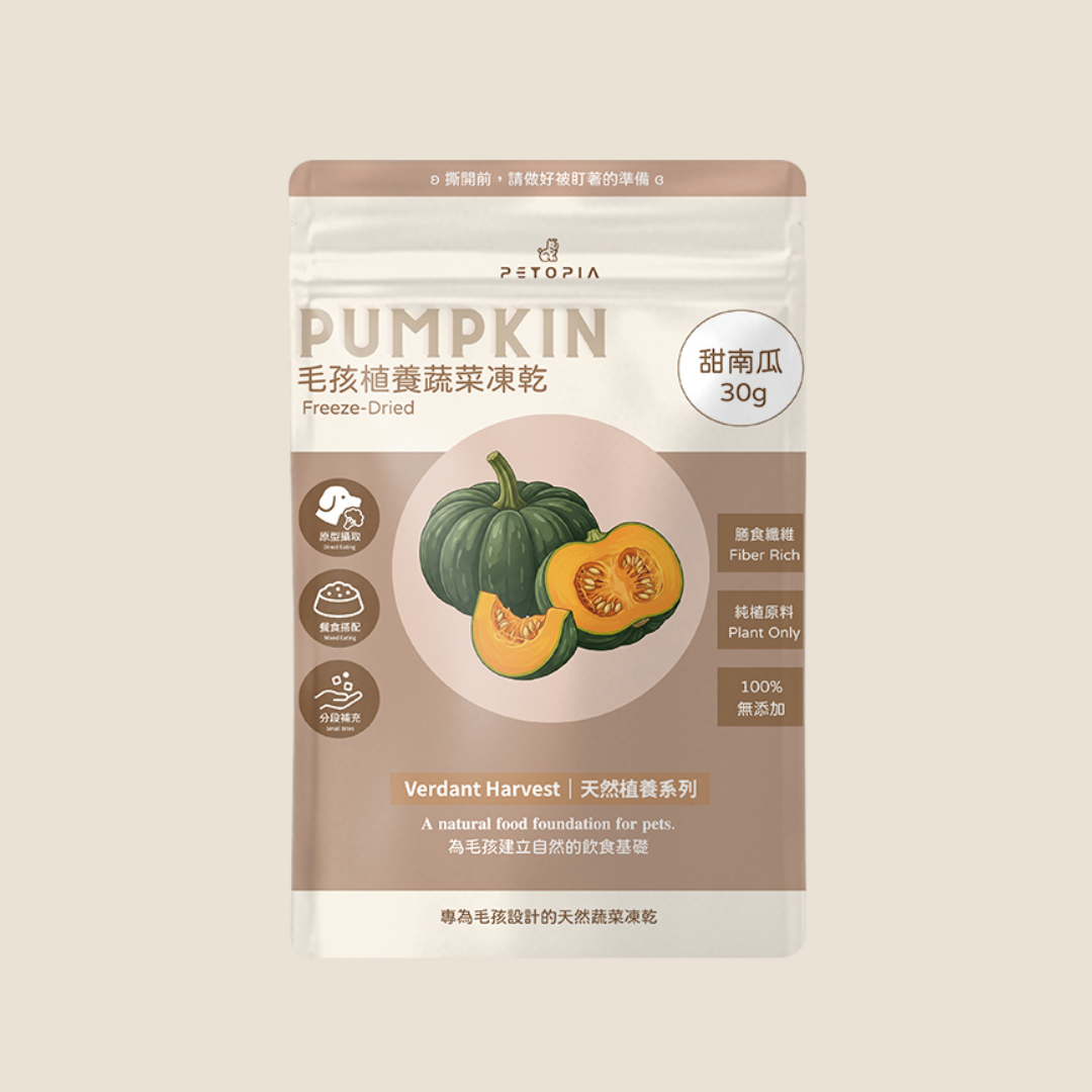 南瓜片凍乾 Pumpkin Chips｜30g