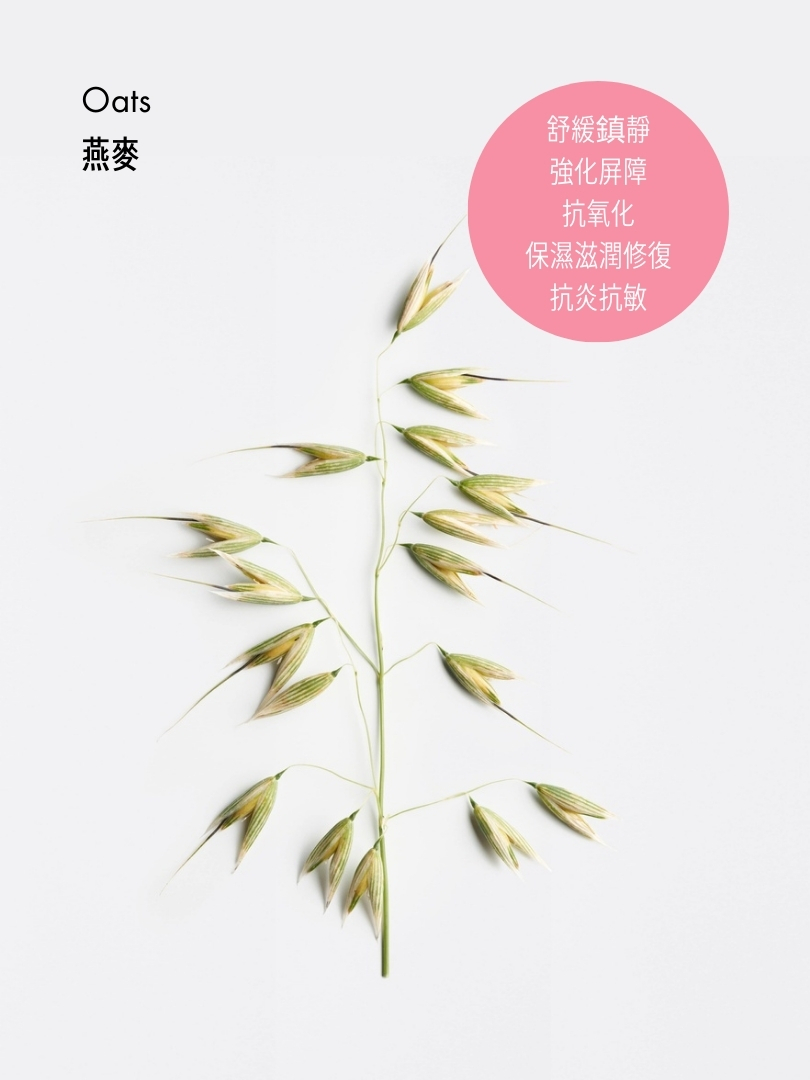 舒緩抗敏卸妝潔面奶 (旅行裝)